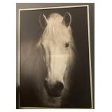 29x49 in. Beautiful White Horse Canvas