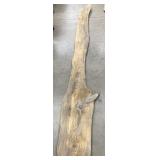 Unique Piece of Wood 120in x 13in