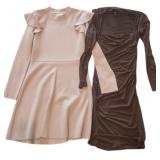(2) Long Sleeve Earth Tone Dresses