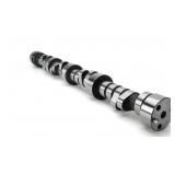 Lunati Camshaft, Hydraulic Flat Tappet,