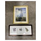 (2) Framed Prints