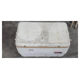 Igloo Cooler