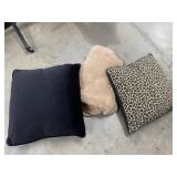 Blanket and (2) Large Pillows