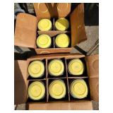 (2) Boxes of Champion Clay Targets