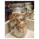 Jar of Seashells