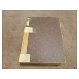 1879 Dictionary of the English and Bohemian Lang