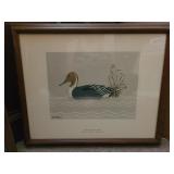 19x22 Reid Kolman Pintail Drake Decoy