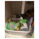 Cleaning Cabinet Entire Shelf