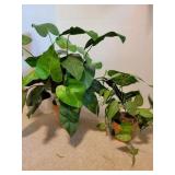 (2) Small Terracotta Pots w/ Faux Foliage