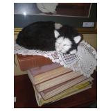 Sleeping Cat & Books