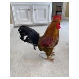 14 in. Rooster Decor.