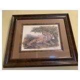 Denis Murphy Framed Print of Leopard