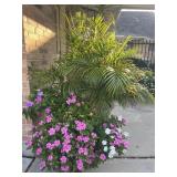 Periwinkle / Palm 30 in