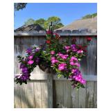 Hanging periwinkle planter