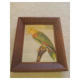 Yellow Face Parrot Oil Painting