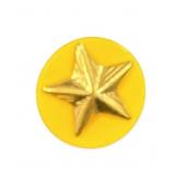 Vintage Star Lapel Uniform Pin Tie Tac