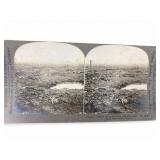 Unique Portrait Where All is Still Cold And Dead