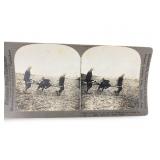 Unique Portrait Picking Up The Severely Wounded