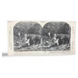 Unique Portrait  A Struggle W/ Bruin in the Wilds