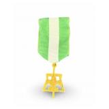 VGT 10K Boy Scouts Award Pin