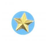 Vintage Boy Scouts of America Service Star Pin