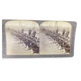 Unique Portrait Secret of Power