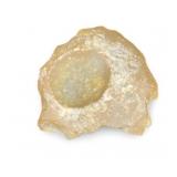 Rock or Fossil???????