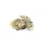 US WWII Marine Corps