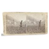 Unique Portrait The Rhine Valley