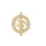 German SA Sports Badge