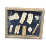 Very Nice Bone Display In Case