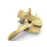 Animal Bone Arrow Head Inclusion