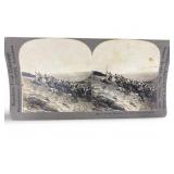 Unique Portrait French Storming Hill Notre Dame