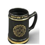 VGT University of Iowa Seal Cyclones College Stein