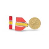 Vietnam Era National Defense Medal & Bar