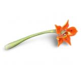 NWT ORANGE LILY SHERLOCK Pipe w/Pot
