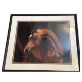 Flat Rabbet Framing & Gallery Horse Print