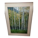 Framed Signed Painting .27" x 37"