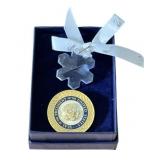 Glass Star Pendant & Pin