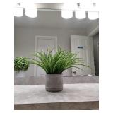 Fake fern