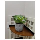 Decorative Potted Plant