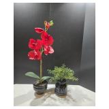 Faux Orchid & Plant