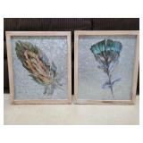 (2) 14x12 Framed Feathers