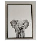 Baby Elephant Framed Print