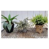 Faux Plants