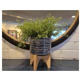 Faux Plant in Glass Pot on Wooden Base