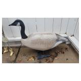 26x10x24 Goose