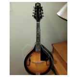 Rogue RM Mandolin Rogue RM Mandolin