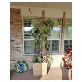 Large decorative bamboo style potted plant