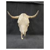 Cow Skull